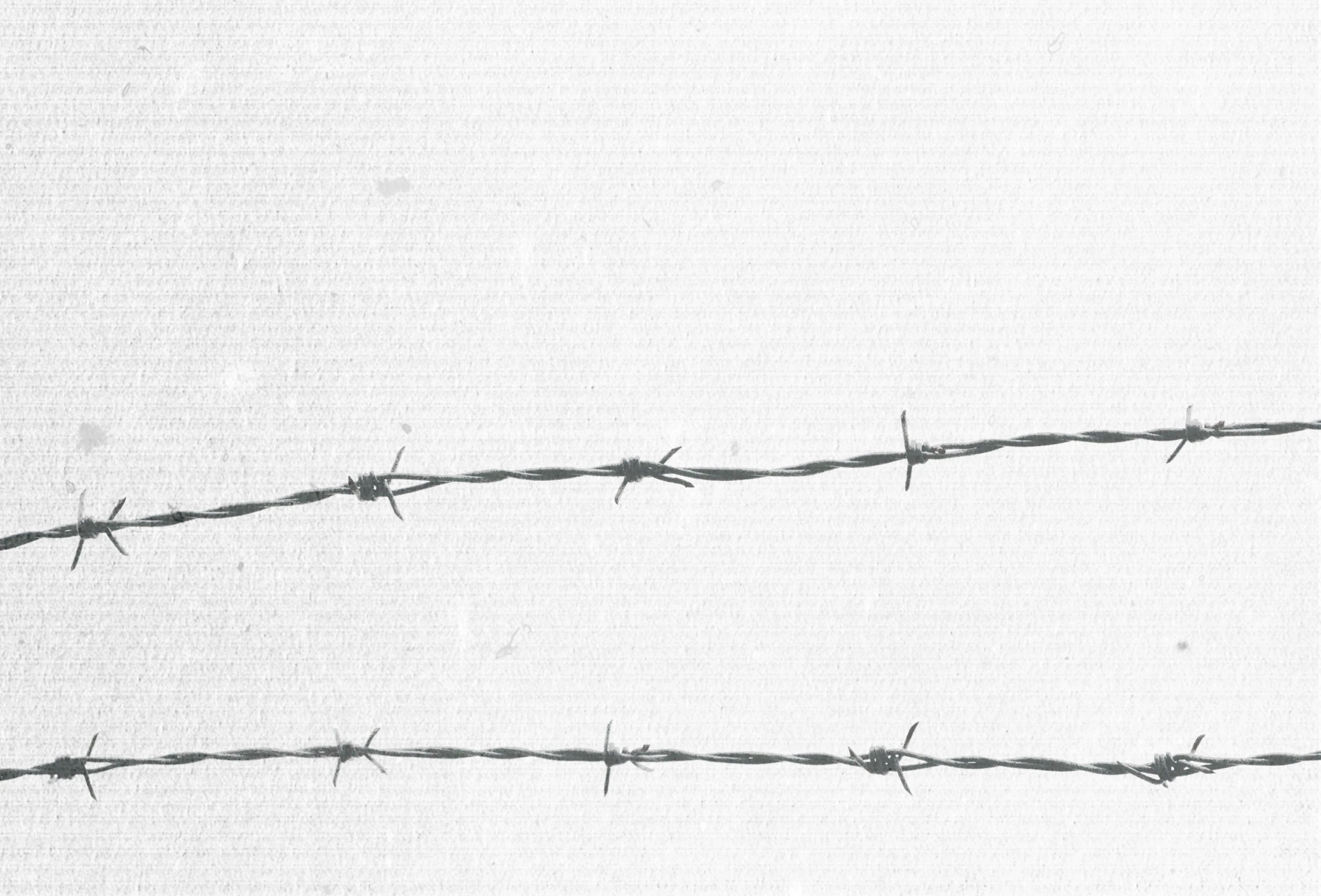 Contrabanned preview