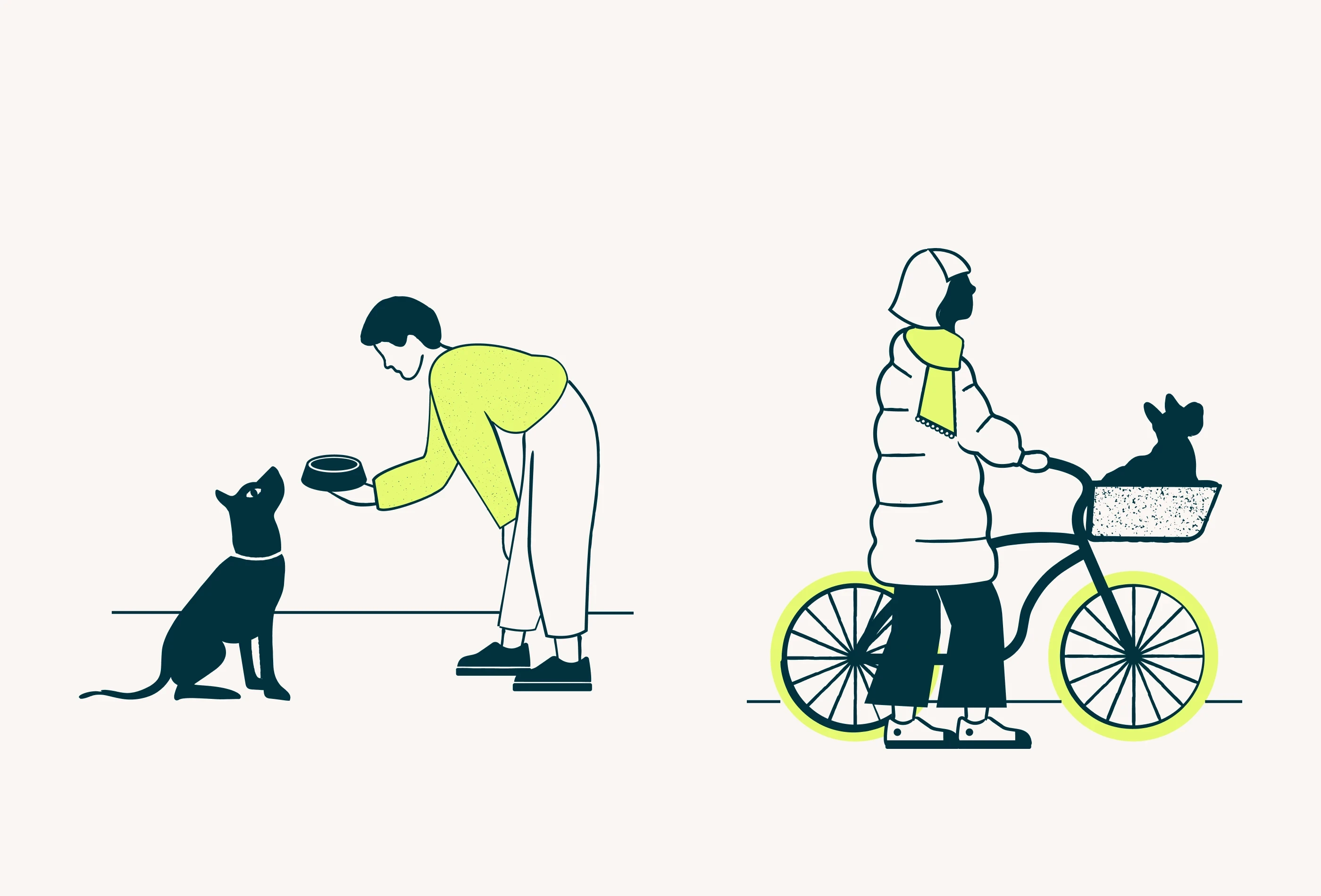 Figopetinsurance preview