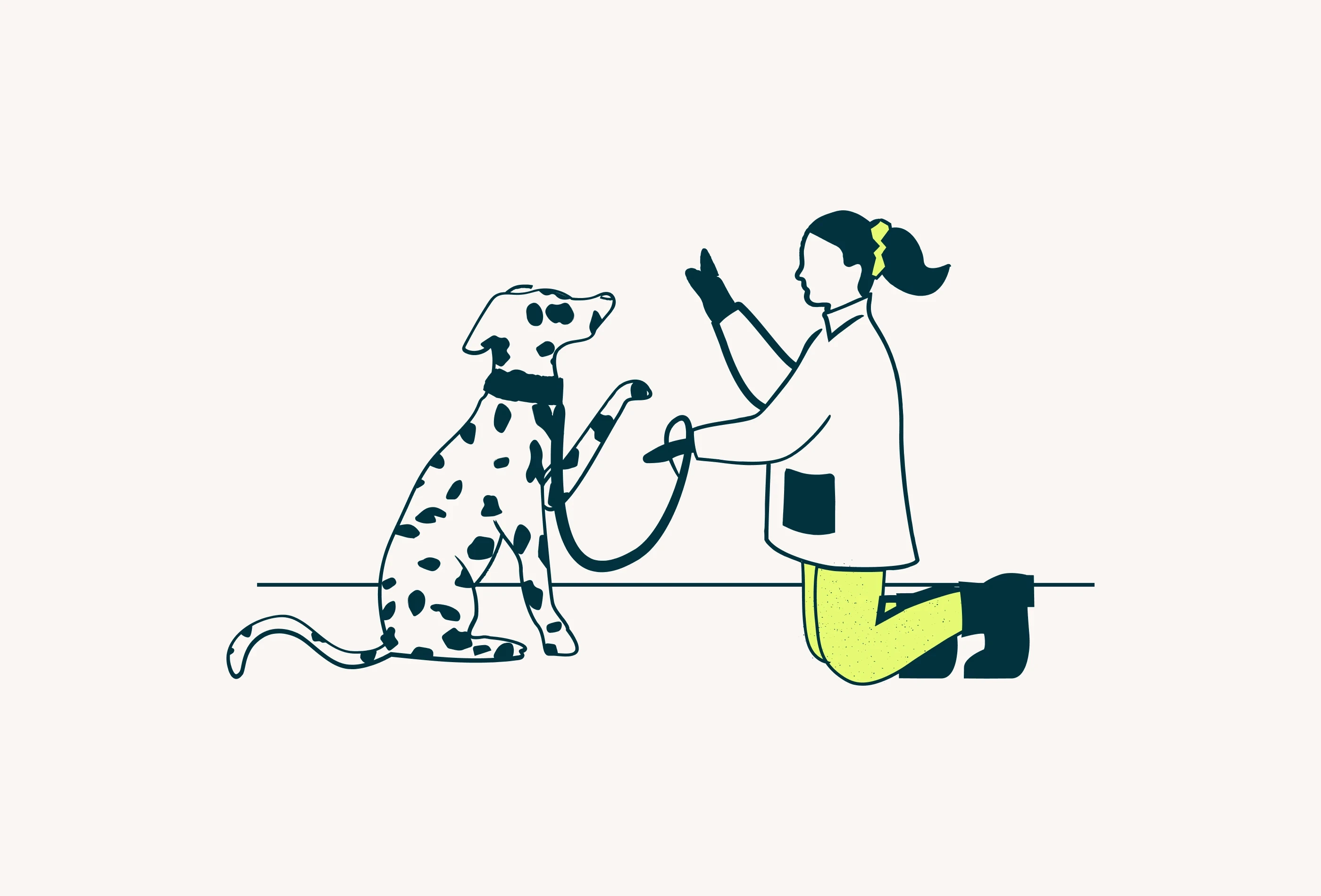 Figopetinsurance preview