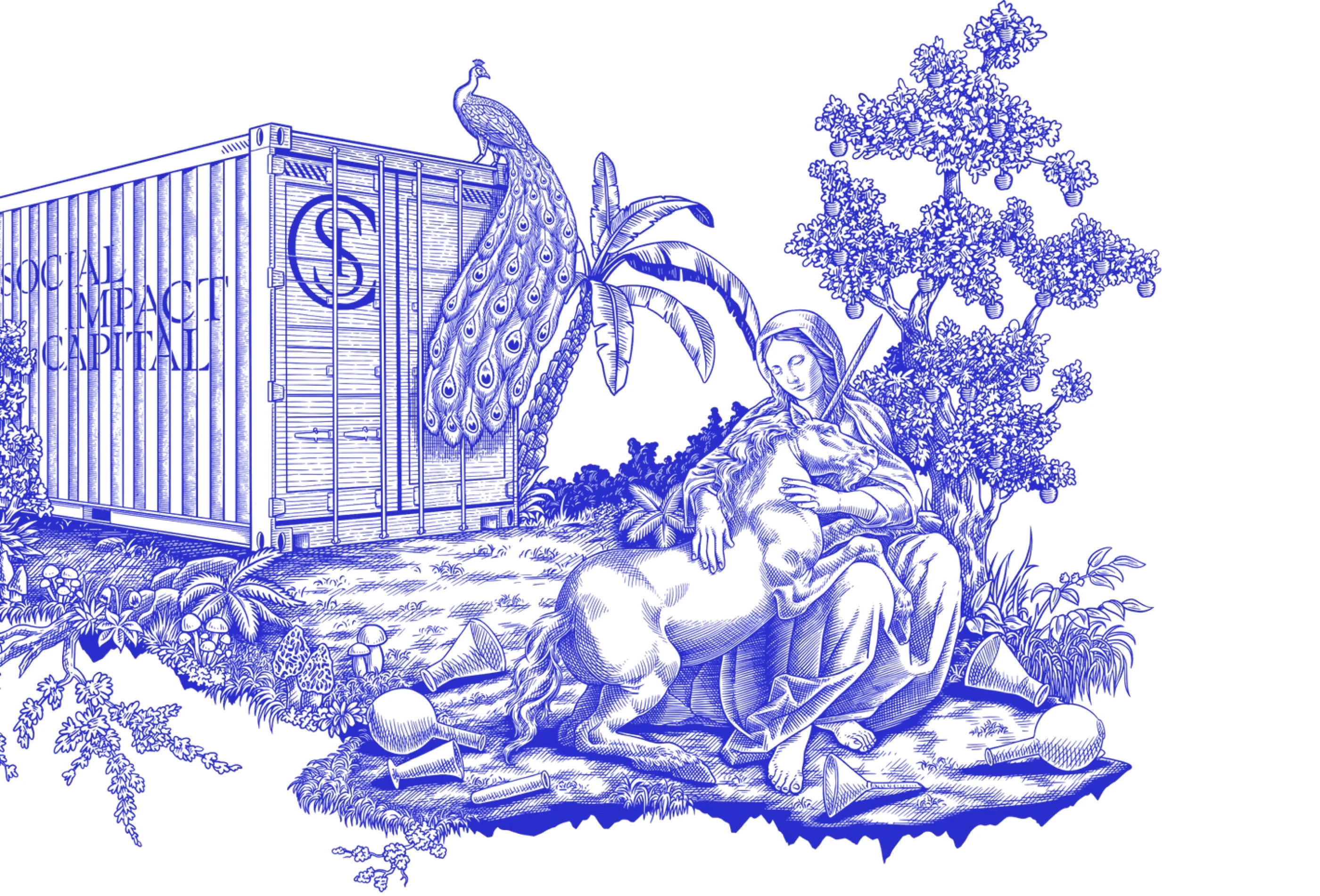 Social Impact Capital preview