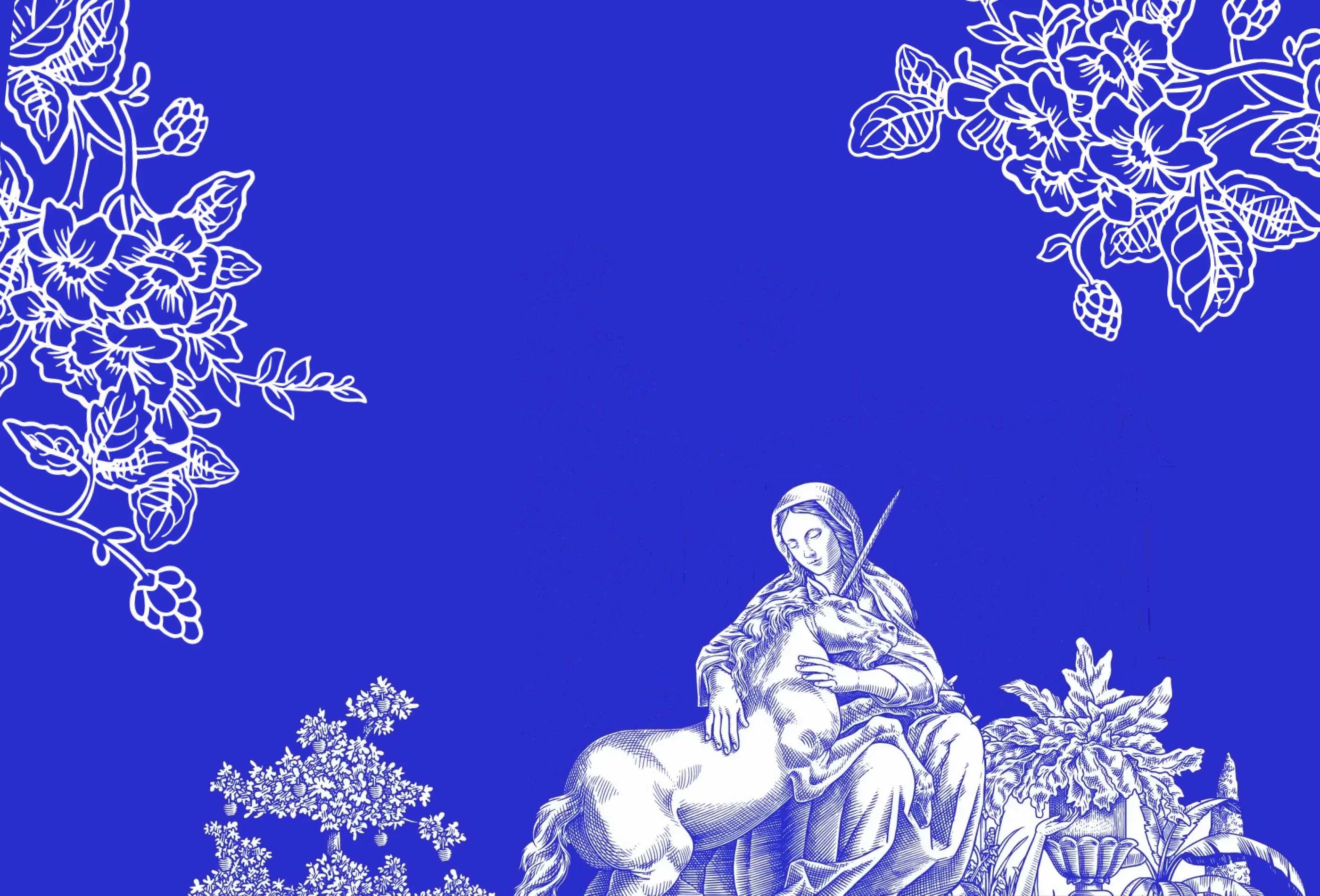 Social Impact Capital preview