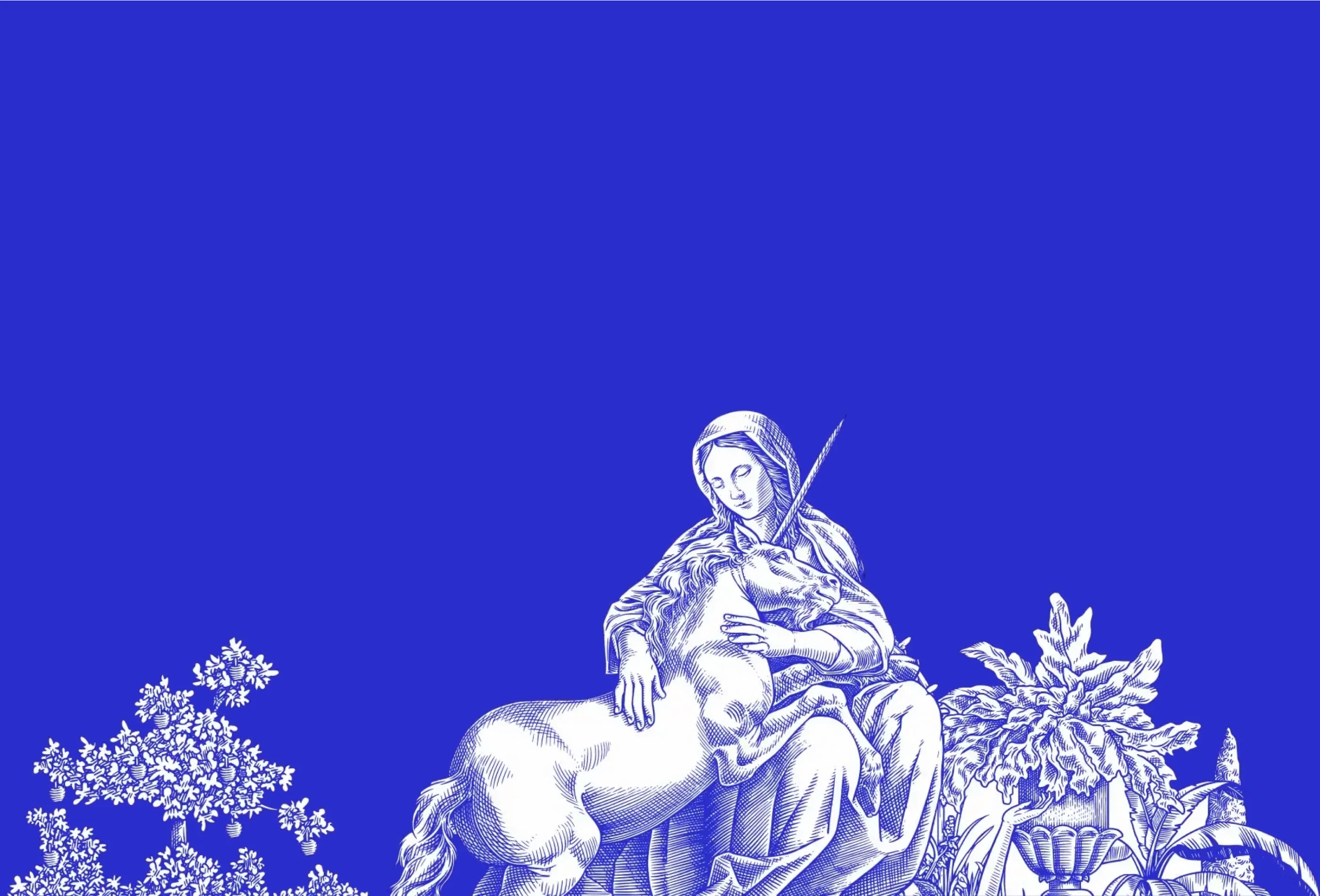 Social Impact Capital preview