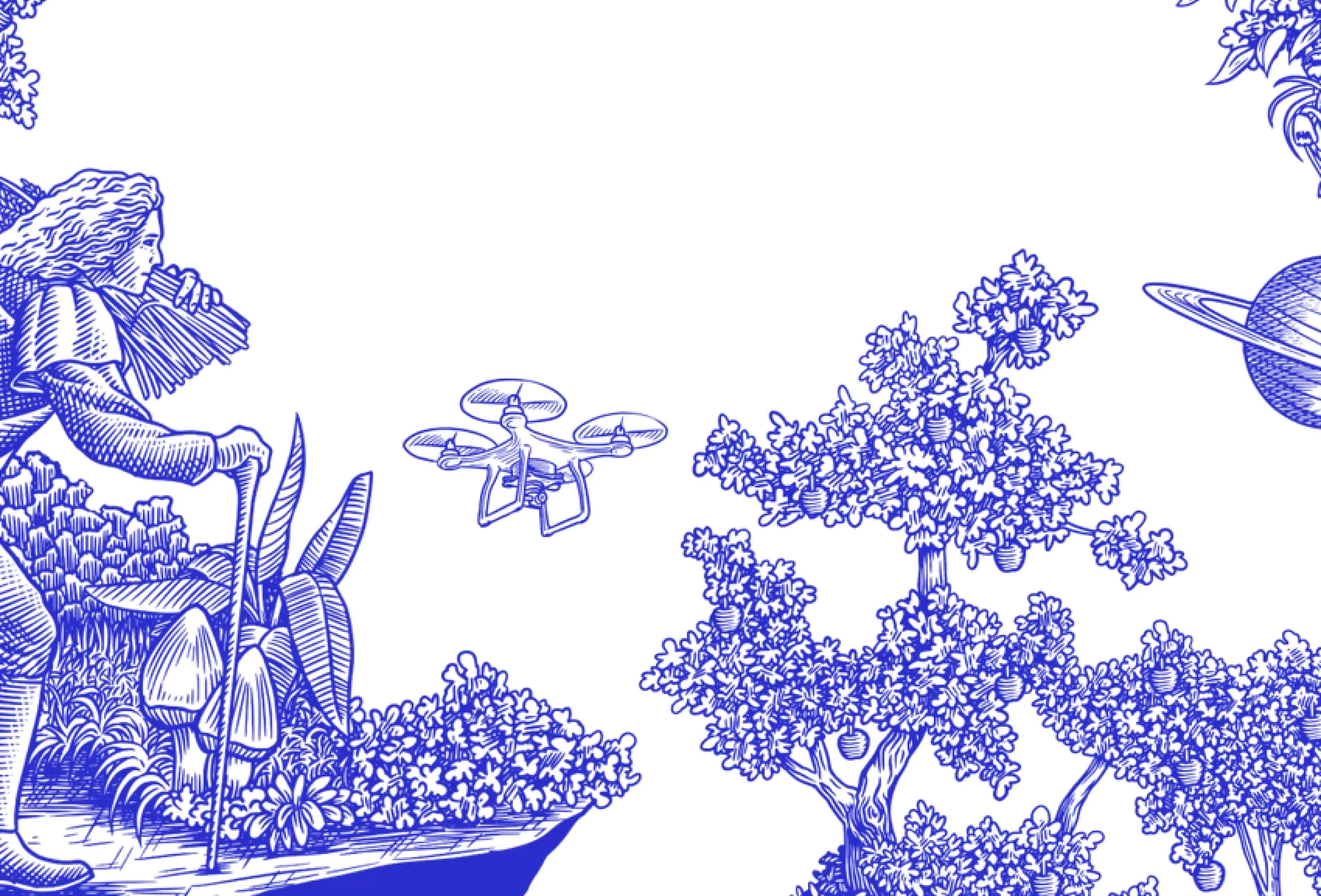 Social Impact Capital preview