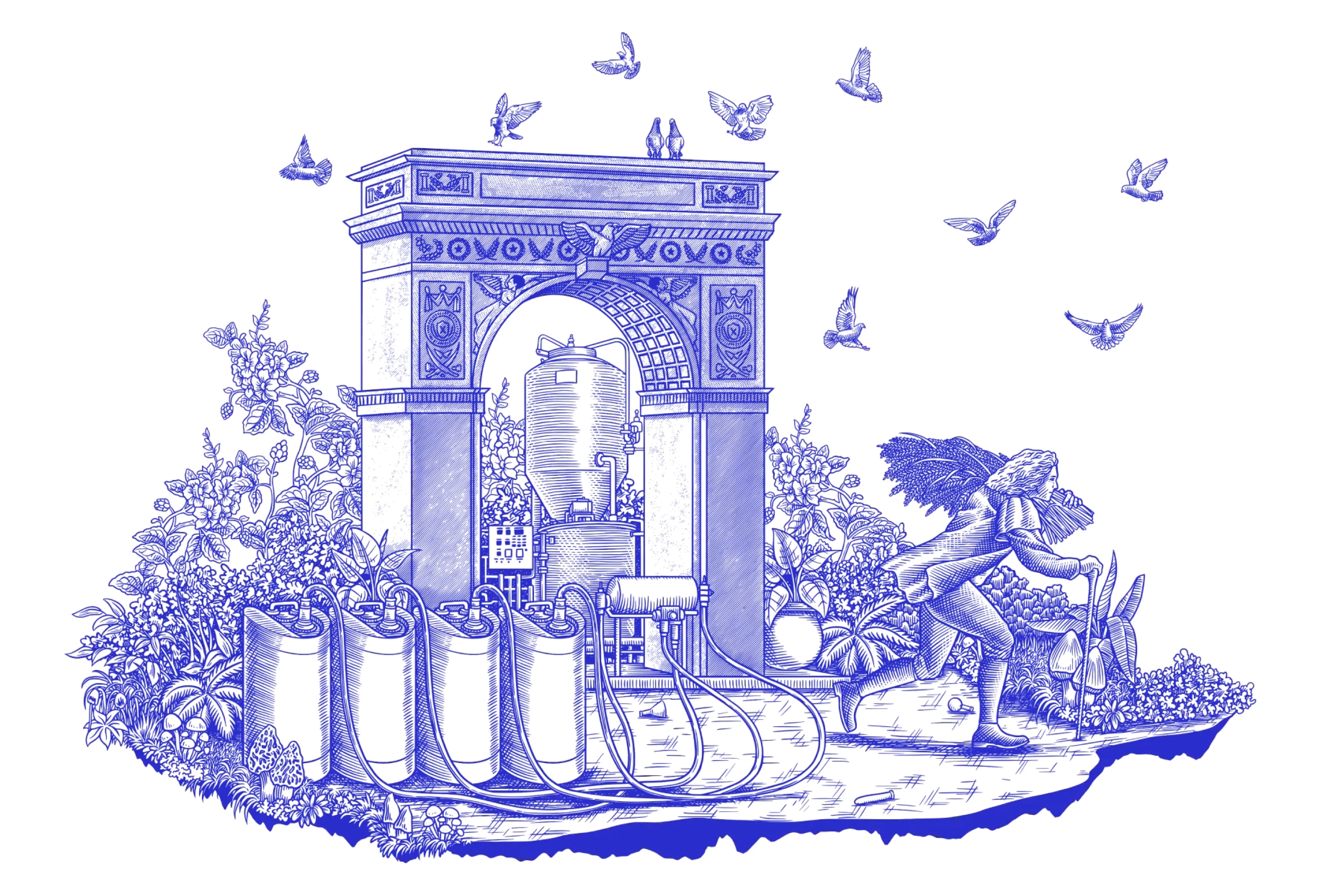 Social Impact Capital preview