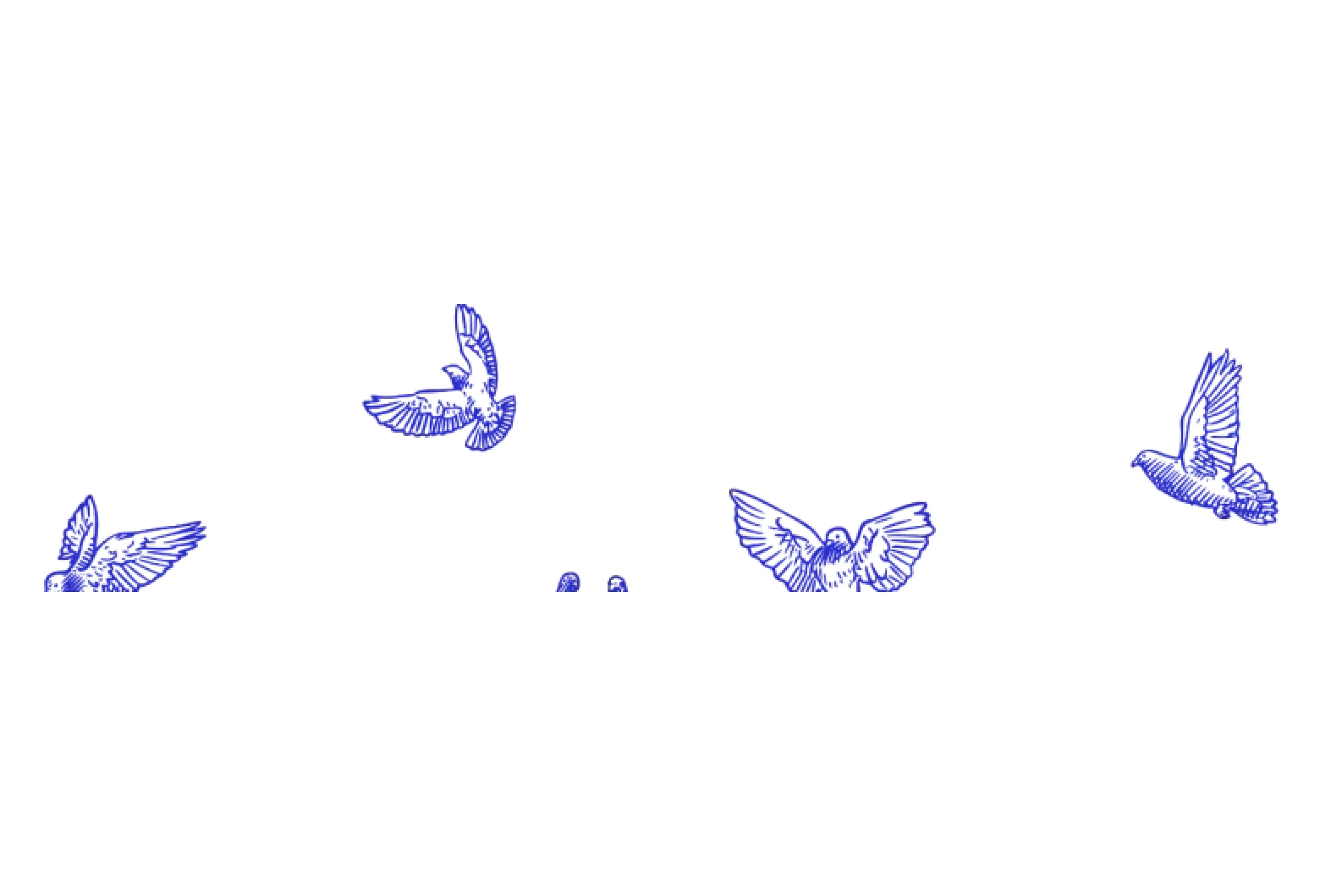 Social Impact Capital preview