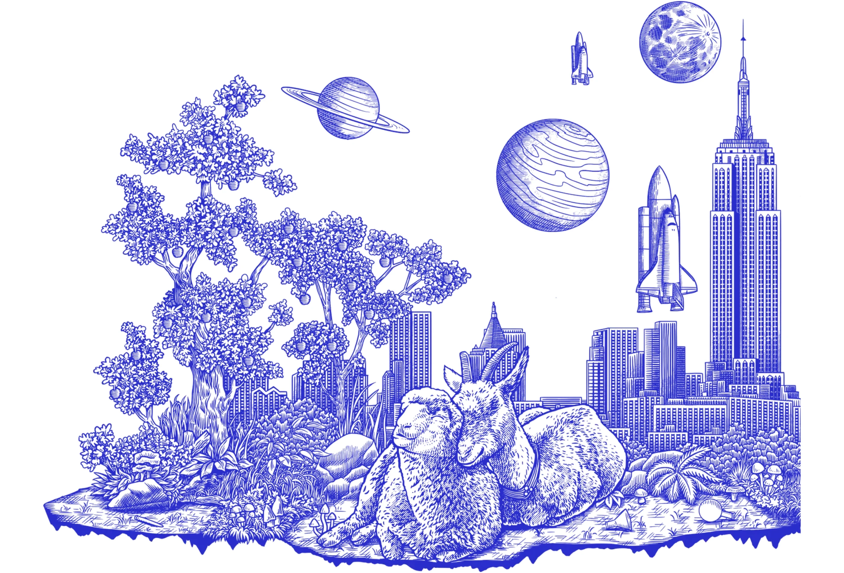 Social Impact Capital preview