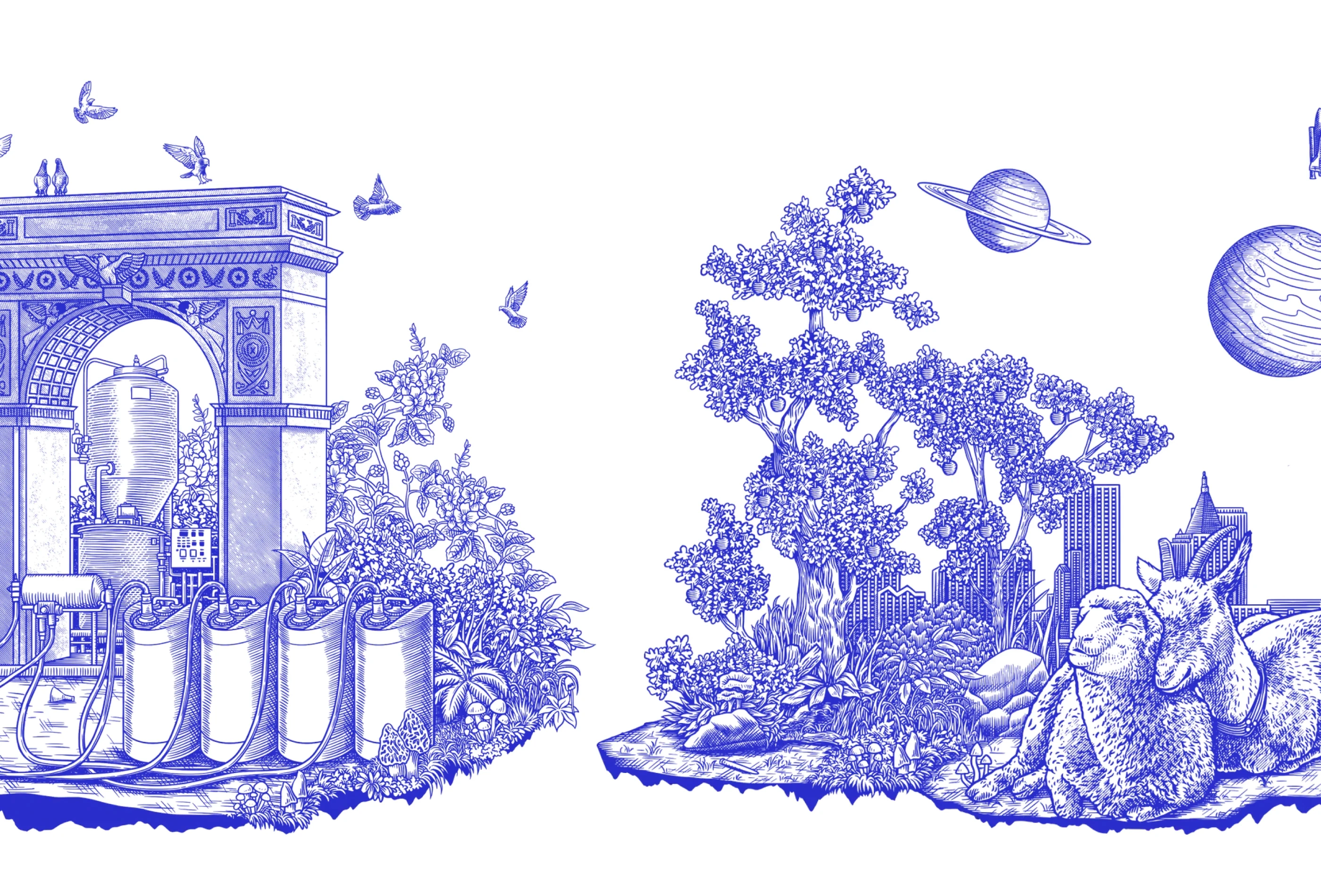 Social Impact Capital preview